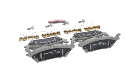 Photo - Close Up